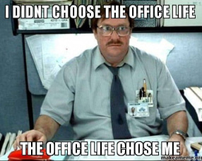 Office Life